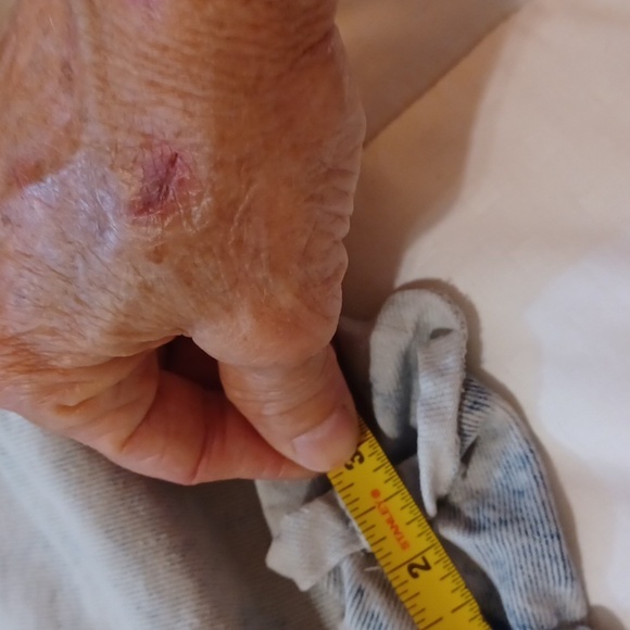 Womans No Boundries Short Button Fly PreWash Jean Shorts Sz17 Juniors - Picture 8 of 8